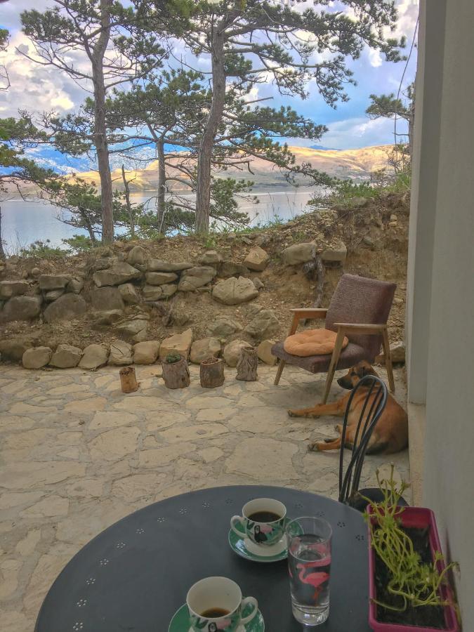 الشقق الفندقية باغفي  Yellow House Experience المظهر الخارجي الصورة